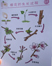 春雨（Papa recipe）蓝春雨提拉面膜保湿6片 淡化细纹补水修护 妇女节礼物送女生 实拍图