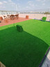清雅草坪仿真草皮假草围挡户外装饰幼儿园儿童游乐场假草坪人造假草坪 10mm工程加密草(标价1平方) 50平 实拍图