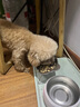 比乐老年犬狗粮小型犬专用粮10岁+中老期全价犬粮鲜肉软粮1.4kg 实拍图