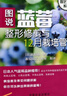 图说蓝莓整形修剪与12月栽培管理/园艺大师系列 晒单实拍图