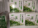 禾蓓小麦苗提取汁粉4克*30麦绿素粉小麦草榨汁浓缩精华小麦青汁麦苗汁 1盒装4克×30条 实拍图