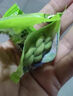 胖东来品质菠菜小麻花独立包装无蔗糖酥脆办公室宿舍网红休闲零食 买50包送50包[实发100包] 实拍图