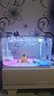 森森（SUNSUN） 鱼缸水族箱生态超白玻璃缸桌面水草缸客厅造景金鱼缸 【热弯超白】500*300*305mm 实拍图
