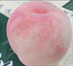 橙市码头澳洲进口水蜜桃【多地次日达】高端孕妇水果年货节日礼品盒送礼 商超A级果3粒装【单果150g+ 净重480g】 实拍图