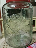 康之伴玻璃罐泡酒瓶带龙头泡酒容器专用药酒泡菜坛子玻璃瓶密封泡酒罐 【无龙头】加厚 4斤 实拍图