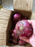 中鲜生 云南紫皮洋葱现挖红皮洋葱新鲜蔬菜生鲜当季新鲜洋葱 5斤装【普通装】 实拍图