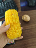 李锦记 XO酱220g+海皇XO80g 明虾火腿干贝丝拌面海鲜捞面调味酱 实拍图