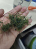 平利绞股蓝龙须茶2025新茶余新强平利老厂绞股蓝养生茶送父母长辈年货非特级 五叶甘味龙须250克 实拍图