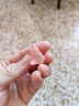 【升级】可爱夜光小猫微景观园艺小摆件卡通DIY透明彩色小猫鱼缸 彩色猫咪摆件    1个 实拍图