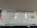GANSS 3087TPro/3104TPro/3108TPro客制化机械键盘高斯三模RGB无线键盘蓝牙2.4G有线热插拔办公游戏键盘 3104TPro白色【GASKET结构】三模RGB KTT静音红 实拍图