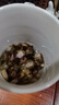 陈一凡 金边玫瑰70g 云南无硫熏金边玫瑰干玫瑰花蕾泡水喝的养生茶罐装 实拍图