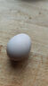 芮瑞 农家散养新鲜现捡鸡蛋笨鸡蛋谷物柴鸡蛋初生蛋 单枚40±5g 12枚 实拍图