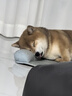 汉优狗粮 发酵成犬粮泰迪雪纳瑞拉布拉多萨摩耶比熊哈士奇全价狗干粮 发酵成犬8kg 成犬 全犬种通用 实拍图