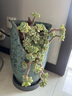 德沃多肥料多肉专用营养土5斤【19合1】植物种植养花土壤颗粒土花盆土80%土 实拍图