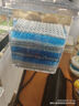 8D净水过滤棉 鱼缸加厚高密度无胶净水质生化棉水族箱专用工具 鱼缸净水棉-绿白色-100*12cm-1米-1片装 实拍图