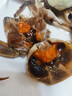 醉蟹生腌大闸蟹即食海鲜腌制螃蟹卤河蟹酱毛蟹宁波红膏咸呛 2个 全母大闸蟹2-2.5两/只 实拍图