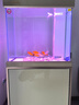 森森（SUNSUN）鱼缸水族箱客厅免换水风水家用金鱼缸 0.6米长 34.6cm宽 时尚底滤(黑白灰可选) 晒单实拍图