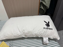 花花公子（PLAYBOY）A类纯棉枕头枕芯高弹星级酒店枕颈椎枕成人睡觉专用单只装 实拍图