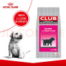皇家狗粮 幼犬狗粮 犬粮 通用犬型 A3 通用粮 2-12月 8KG 实拍图