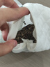 然牌 蚕砂荞麦枕 颈椎枕护颈枕荞麦壳决明子蚕砂硬枕头 单只装10x45cm 实拍图