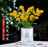 劉閣蘭花兰花香水文心兰梦香花卉盆栽 橘黄色4苗当年开花配懒人盆源头直发 实拍图