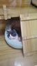 licheers猫抓板剑麻垫贴墙猫咪磨爪子耐磨不掉屑沙发保护墙贴猫玩具30*40 实拍图