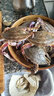 至鲜 梭子蟹2.6斤/10-11只整只液氮无包冰新鲜大螃蟹2-3两/只吕四黄海海蟹冷冻 实拍图