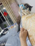 【京东快递】CFA赛级木柄弹簧流苏逗猫棒自嗨解闷玩具可替换羽毛 蓝色 实拍图