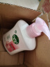 滴露（Dettol）洗手液滋润250ml 健康抑菌儿童洗手液消毒抑菌99% 护手 实拍图