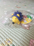 宜特（EETOYS）小号刺猬狗狗玩具趣味发声互动泰迪金毛陪伴解闷防拆家宠物用品 实拍图