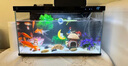 小米米家智能鱼缸小型客厅办公室桌面一键换水远程喂食超白玻璃生态缸 小米米家智能鱼缸 实拍图