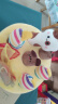 澳贝（auby）拔萝卜玩具婴幼童男女孩猫鼠拔拔乐抽抽乐纸盒早教周岁礼物0-1岁 实拍图