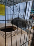 京喜自营-专用品牌猫笼子超大室内猫别墅多层猫舍送货上门 方管款-黑色双层60*45*66 套餐一：三件套 实拍图