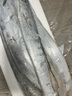 七条船舟山带鱼新鲜冷冻整条小眼带鱼刀鱼海鲜水产野生海钓带鱼大号油带 3斤——中带（5条装） 实拍图
