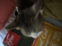 猎食渴望 渴望猫粮orijen成猫幼猫干粮全价通用无谷原味鸡肉进口1.8/5.4kg 美版六种鱼 | 亮毛护肤 5.4kg 实拍图