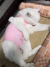 MIFLAME猫咪绝育服公猫母猫术后恢复防舔衣断奶戒奶服薄款防脱设计M码 粉红色 m码（6-12斤） 实拍图