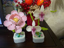 儿童拼装花束仿真积木花朵盆栽diy拼装颗粒摆件玩具兼容生日礼物 粉芙蓉 实拍图