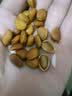 十年梦新货松子东北1000g手剥开口松子大颗粒坚果孕妇零食干果罐装 【1罐】开口松子250g 实拍图