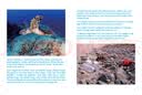 海尼曼科学英语分级阅读（提高级）  实拍图