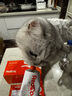 红狗 营养膏120g*2+化毛膏120g*2 猫咪化毛膏猫咪营养膏化毛球片猫草 实拍图