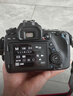 佳能/Canon 500D 600D  700D 750D 760D 800D 二手单反相机 95新 95新 佳能550D/18-55   防抖 套机 套机 实拍图