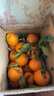 逮果重庆奉节脐橙纽荷尔春橙福本特级大果礼盒装时令新鲜孕妇水果橙子 净重9.3斤大果/75-80mm/15-20个 实拍图