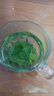 福茗源 茶叶 养生茶 苦丁茶 精选特级新茶小叶苦丁茶峨嫩芽花茶罐装125g 实拍图