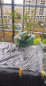 花沃里营养土通用型12L 花土种植土种菜土兰花多肉土泥炭土椰砖有机土壤 实拍图