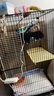 宠趣汇龙猫松鼠笼子柜笼超大号多层加密家用大别墅花枝鼠密袋鼬专用笼子 加长带轮2层【47_37_82】 基础款【托盘+爬梯+笼子】 实拍图