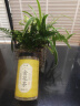 半山农 金花茶 广西十万大山精选冻干花朵金花茶叶泡水喝花草养生茶25克 实拍图