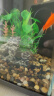 萌嘟星宠 鱼缸造景装饰仿真假山摆件躲避洞水族箱创意布景 太湖石 实拍图