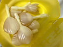 周十五益生菌蜂蜜露孕妇开塞蜜露产后哺乳期待产用品儿童老人蜂蜜栓10支 实拍图