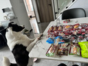SMARTBONES狗零食会员礼包洁齿骨狗狗磨牙棒鸡肉牛肉幼犬小型犬大型犬狗咬胶 全家福会员礼包 实拍图