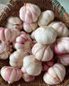 果木岛【2025鲜蒜】现挖紫皮白皮新鲜大蒜头湿蒜嫩蒜鲜蒜新蒜 白皮鲜蒜 2500g 实拍图